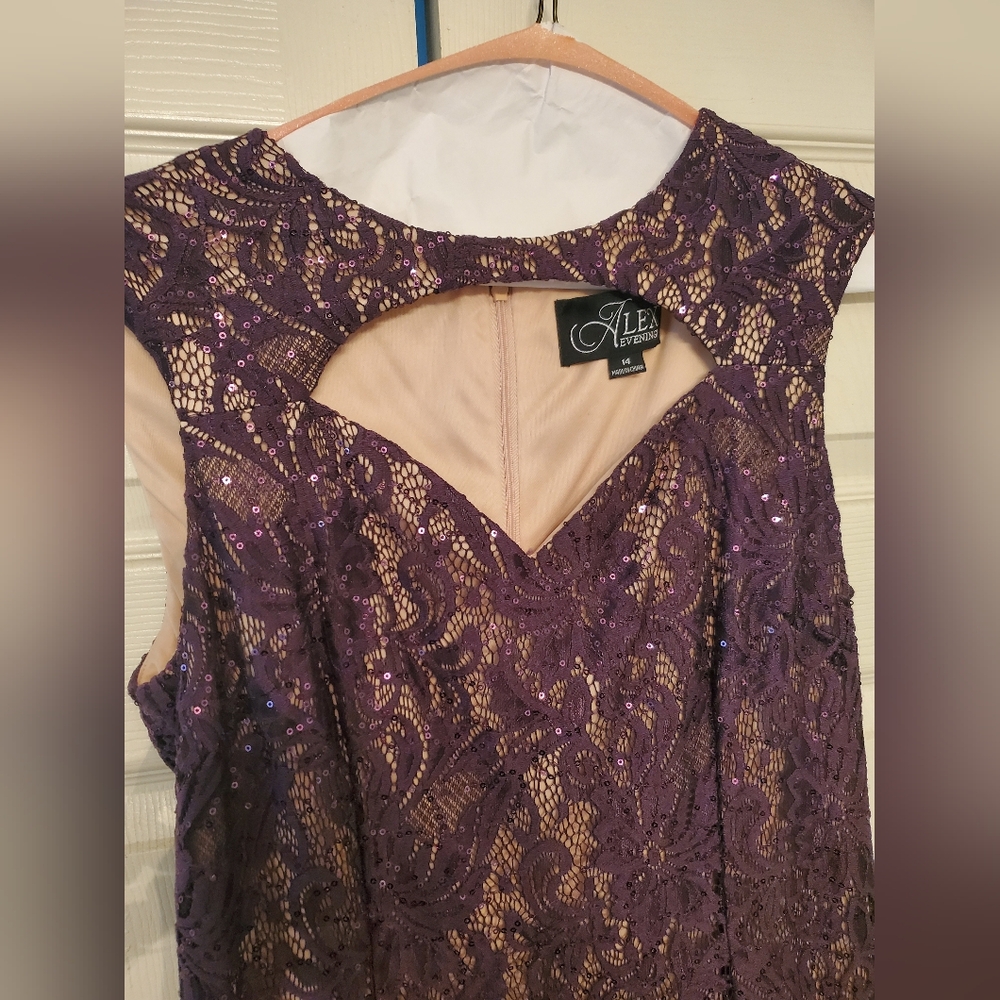 Alex Evenings Purple Lace Dress